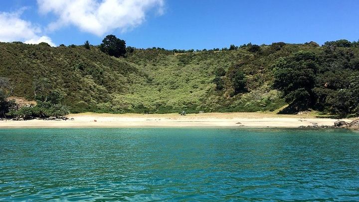 Waiheke Island Beaches and Bush Small-Group Guided Day Hike