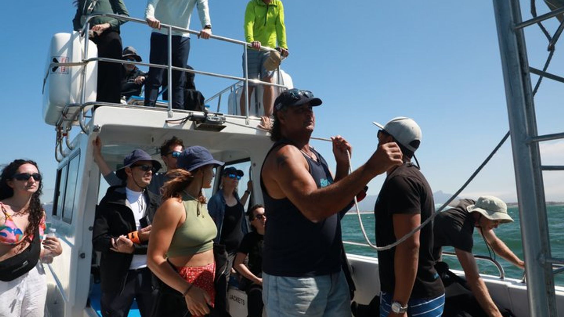 Excursión de buceo en jaula con tiburones en False Bay