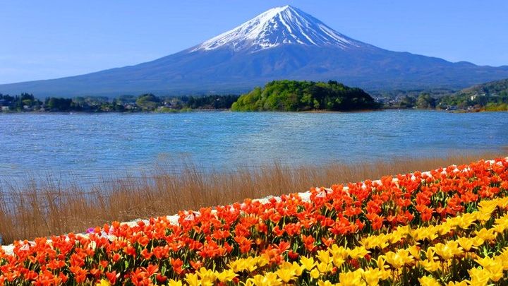 Mount Fuji And Lake Kawaguchiko Nature and Culture Day Trip