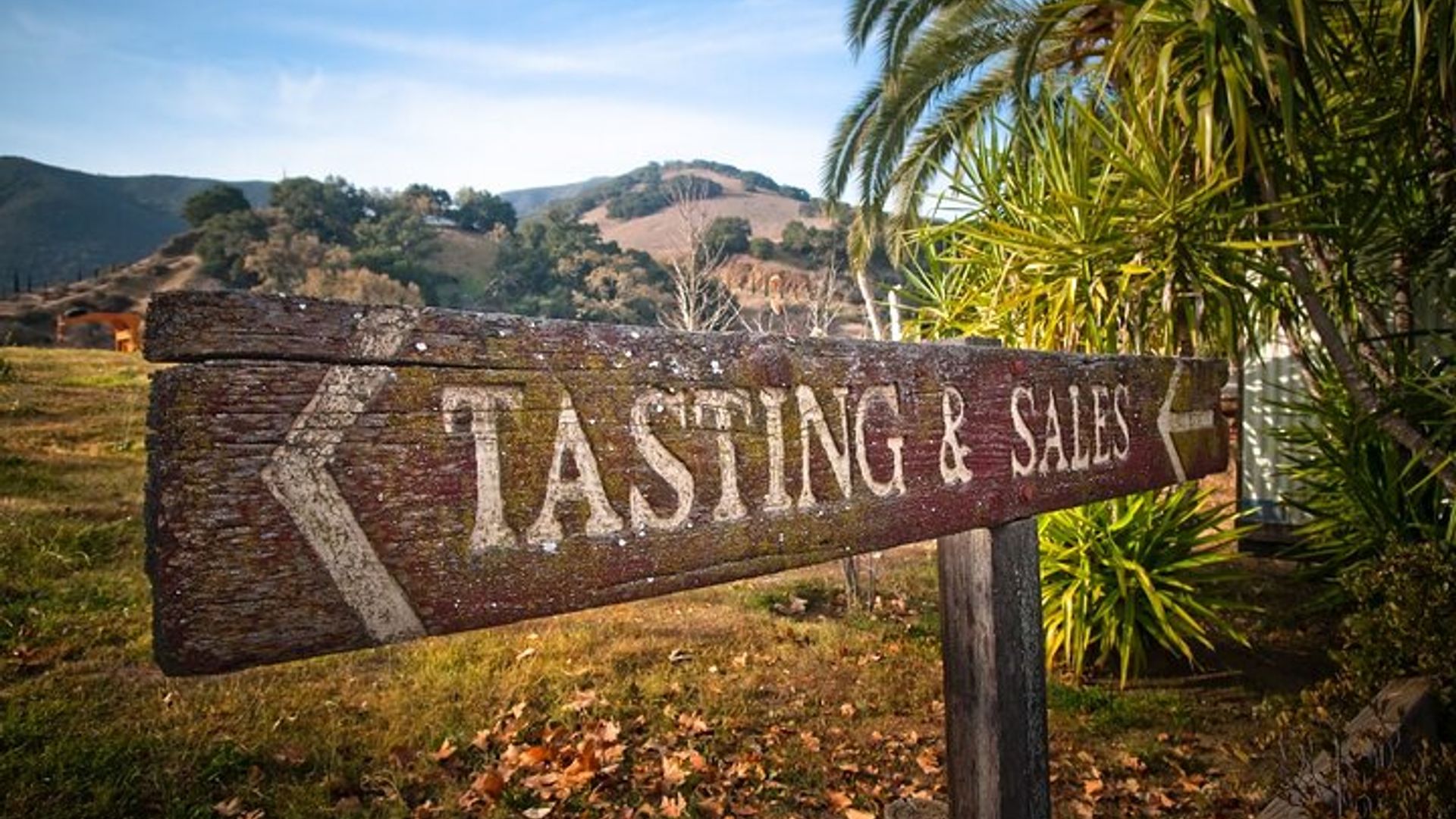 Private Tour: Napa and Sonoma Wine Country image 1