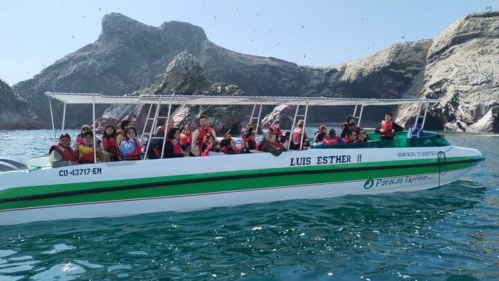 Ballestas Island Boat Tour From Paracas