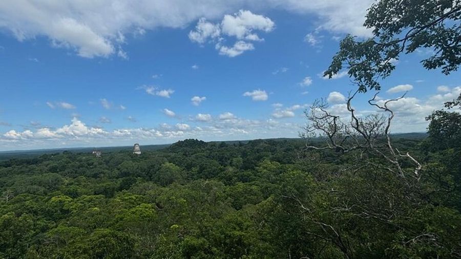 Tikal National Park Transfers and Guide From Flores