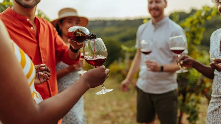 Gibbston Valley Wineries by Bike