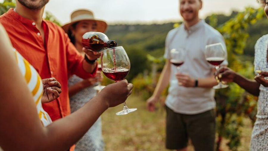 Central Otago Gibbston Valley Full-Day Wineries Tour by Bike
