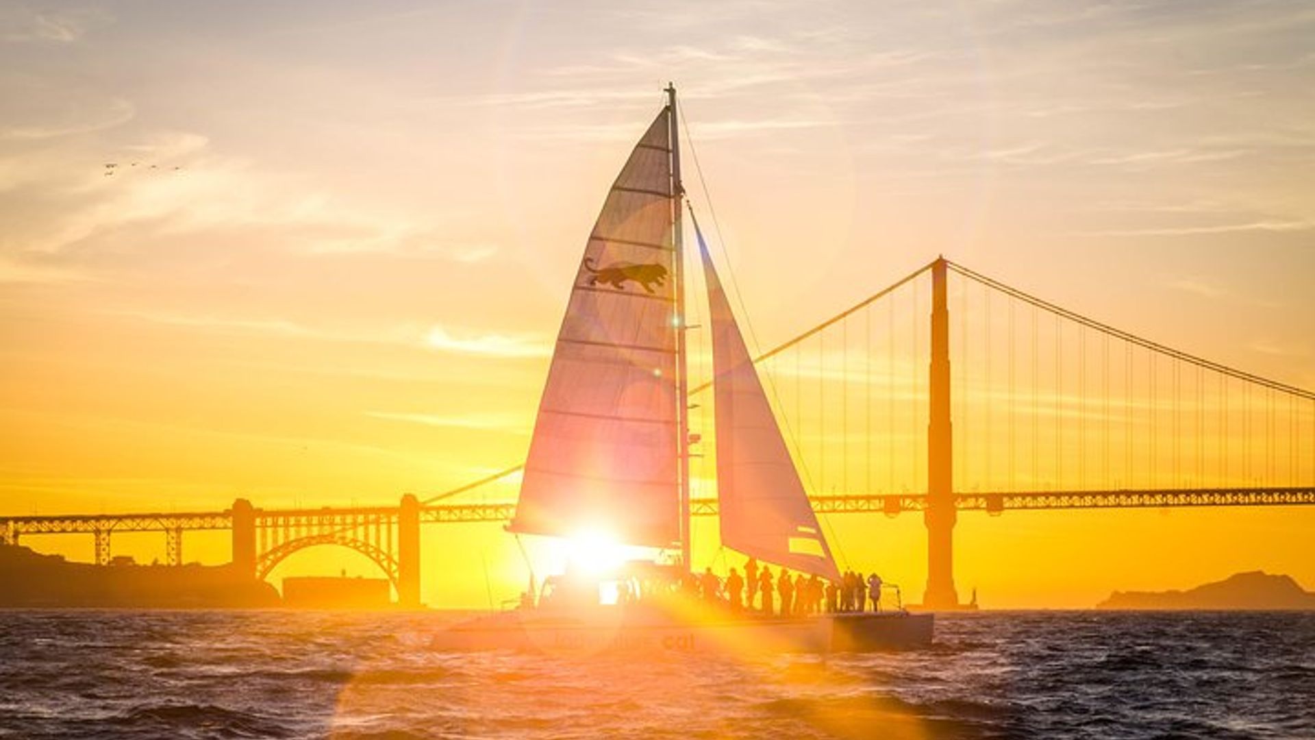 The San Francisco Sightseeing Day Pass: Save BIG at 30+ Attractions & Tours image 3