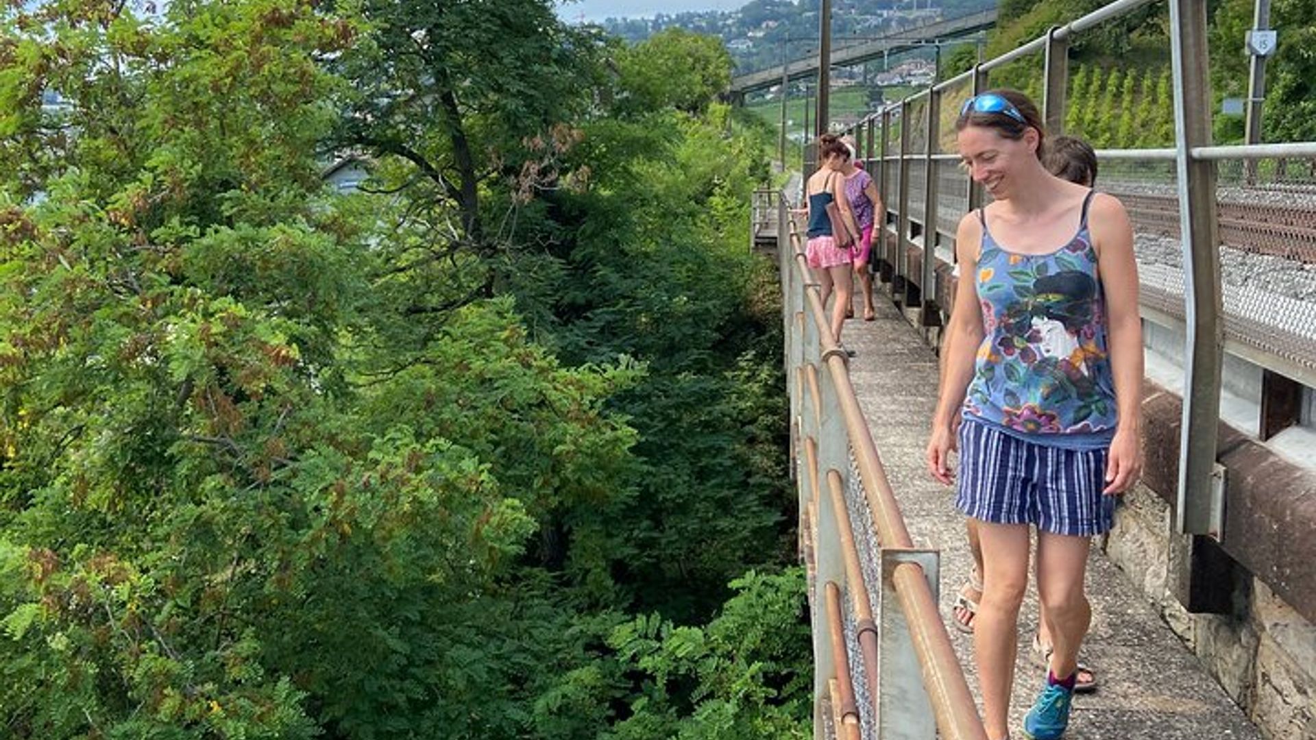 Vine Stories: Lavaux & Lutry Wine Walk
