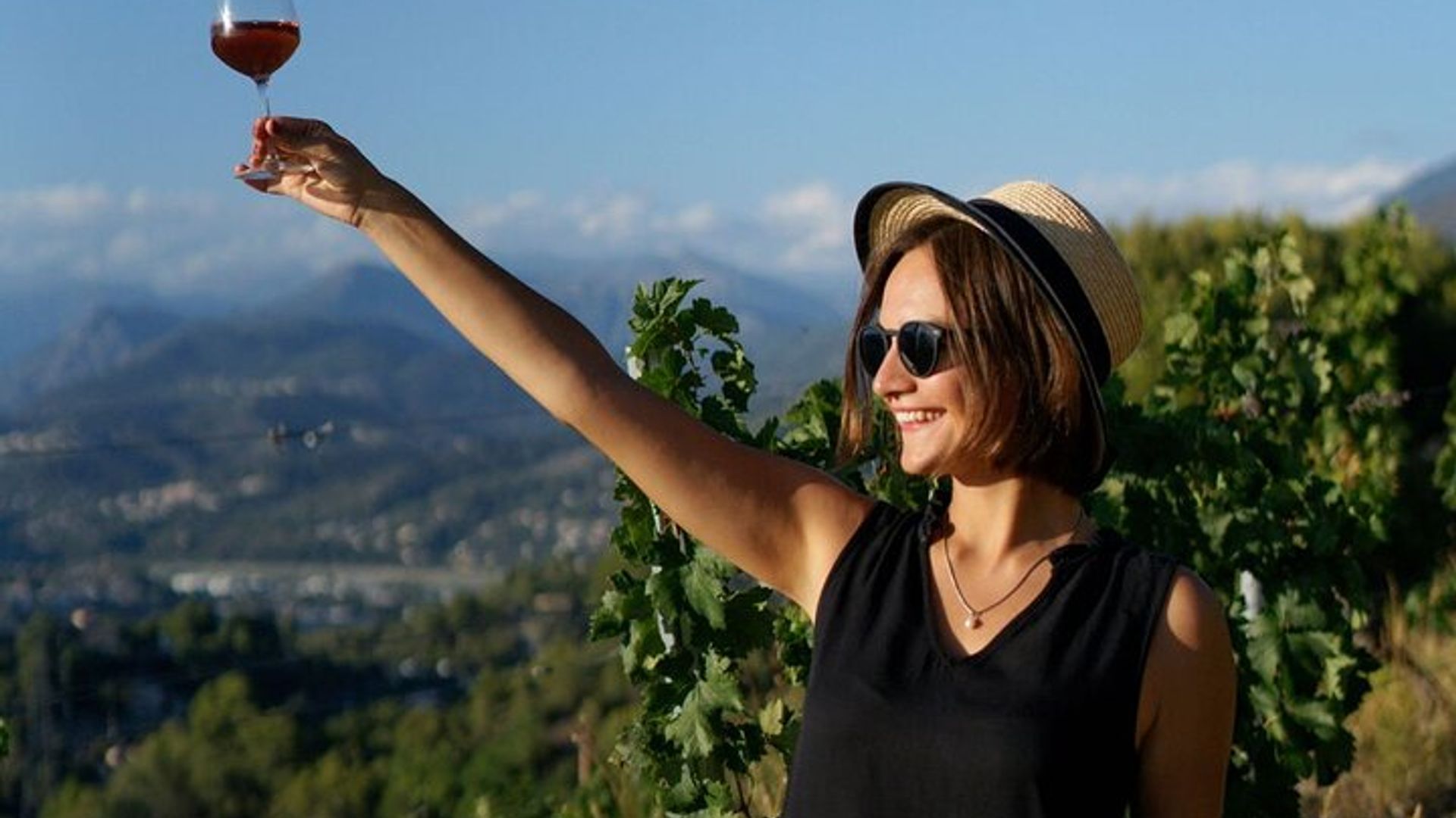 Nice 90-Minute Small-Group Wine-Tasting And Vineyard Tour