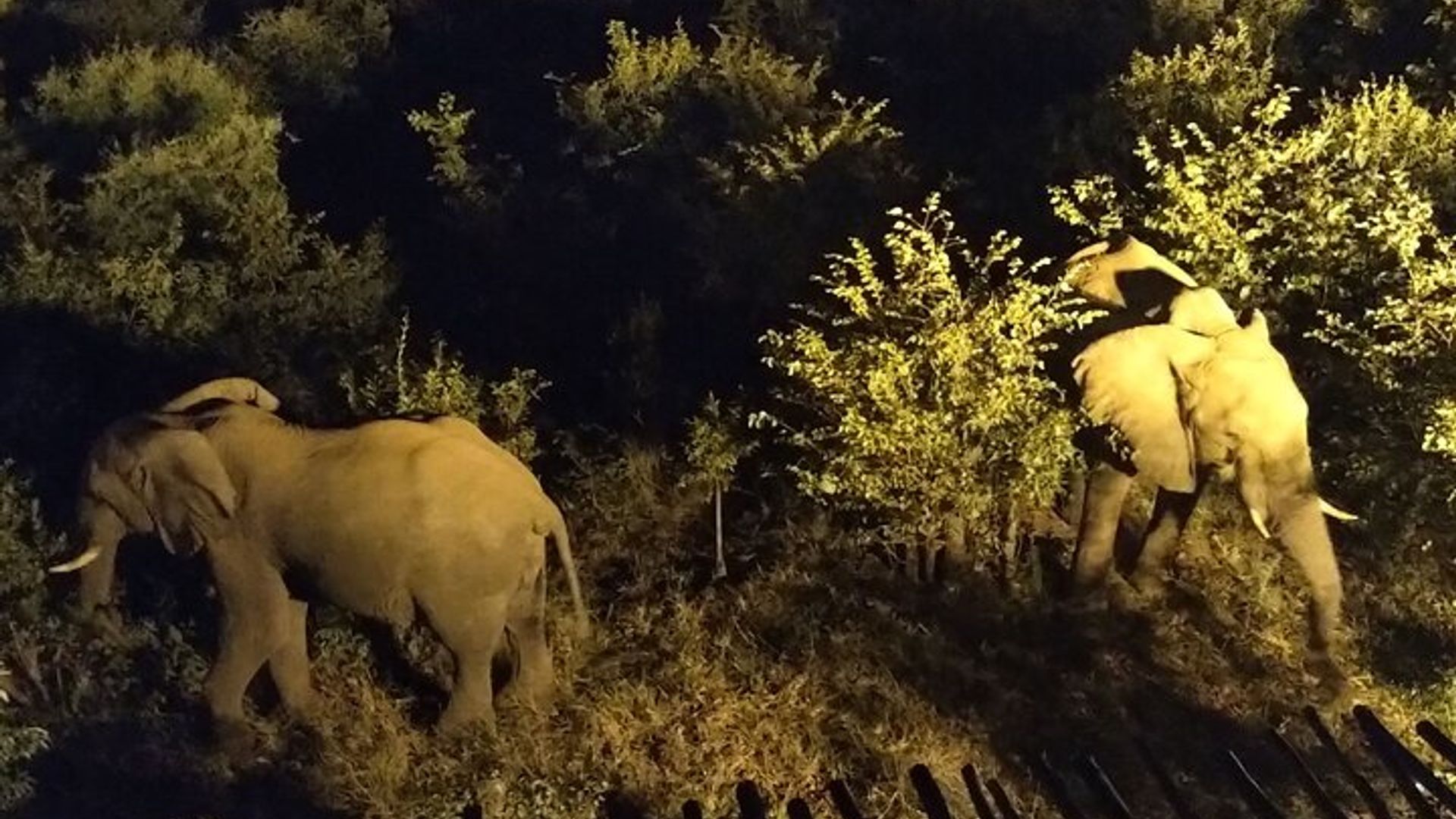 4x4 Ubunararibonye bwa Stargazing hamwe nubucyo bwukwezi muri Bush * GB-D-F-ES