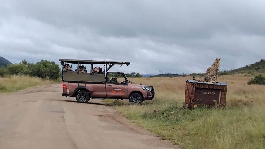 Full Day Pilanesberg Safari Adventure