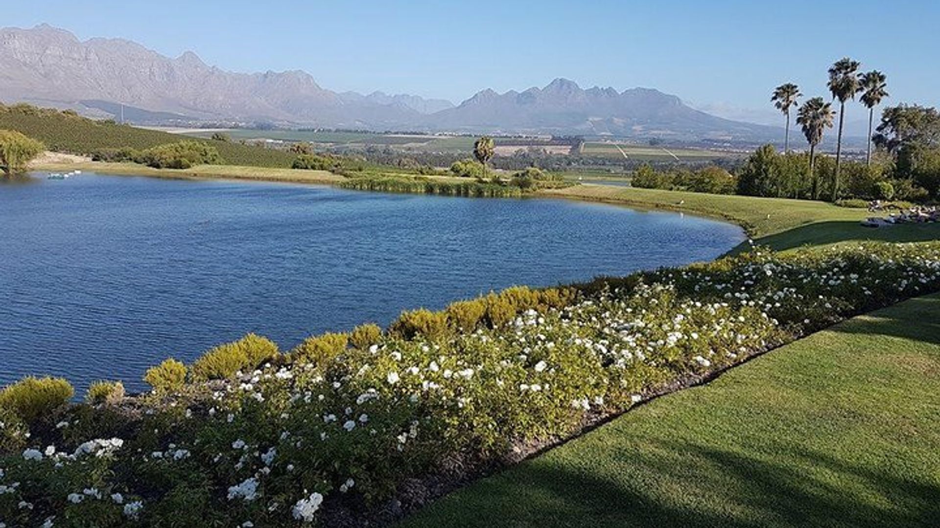 Stellenbosch/Franschhoek Private, von Experten geführte Weintour