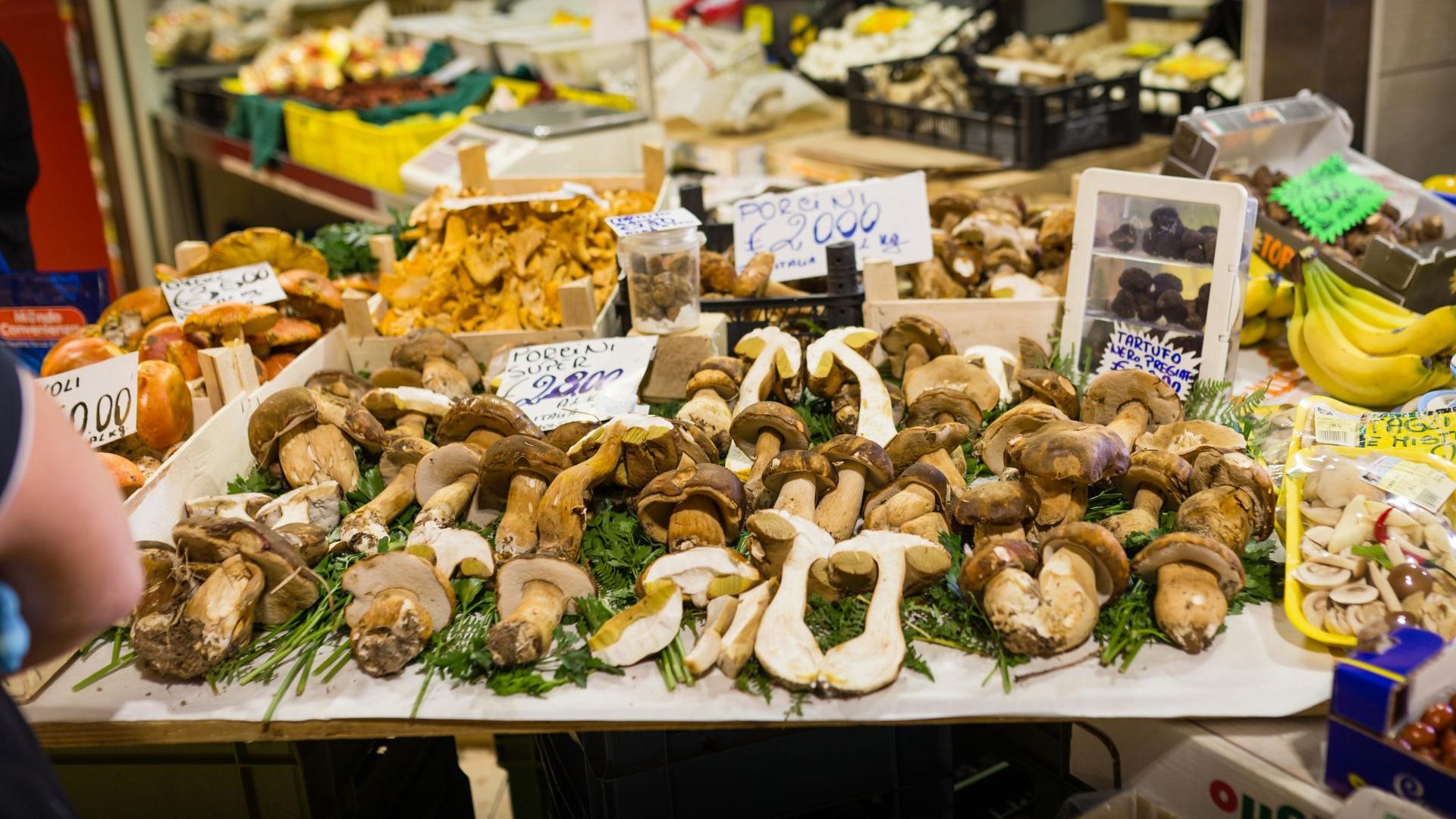 Market visit and dining experience at a local's home with cooking demo and wines included in Parma