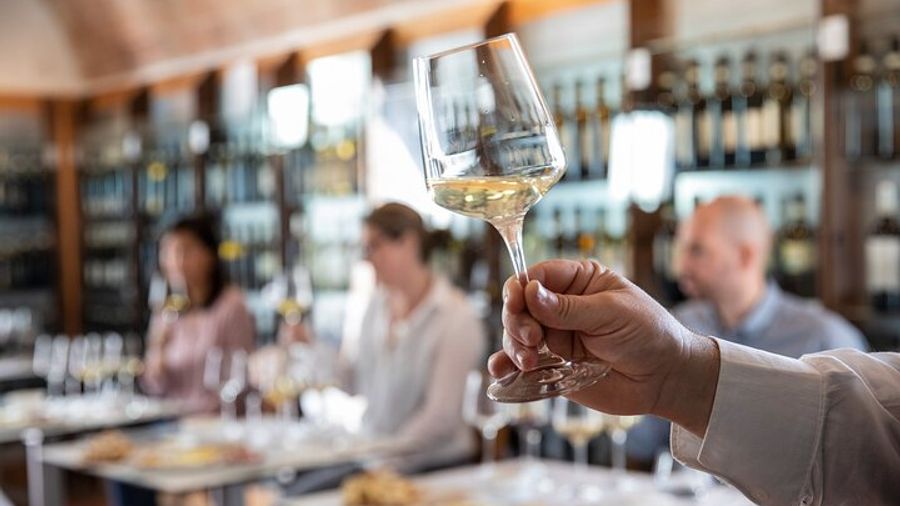 Superior Wine Tasting in San Gimignano