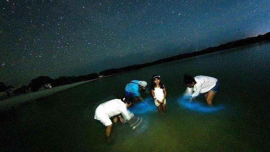 Isla Holbox: Small-Group Bioluminescence Tour at Punta Cocos