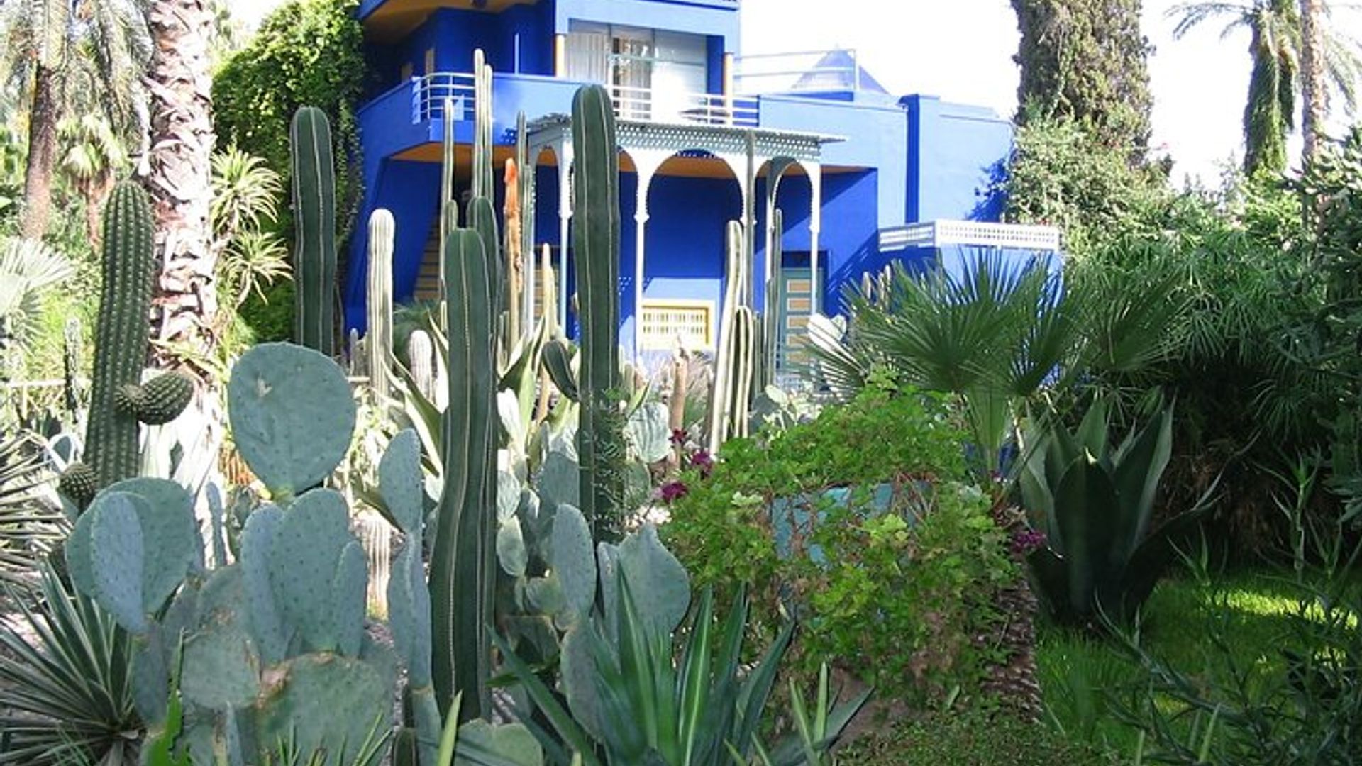 Expérience Jardin Majorelle : billets et transferts sans tracas