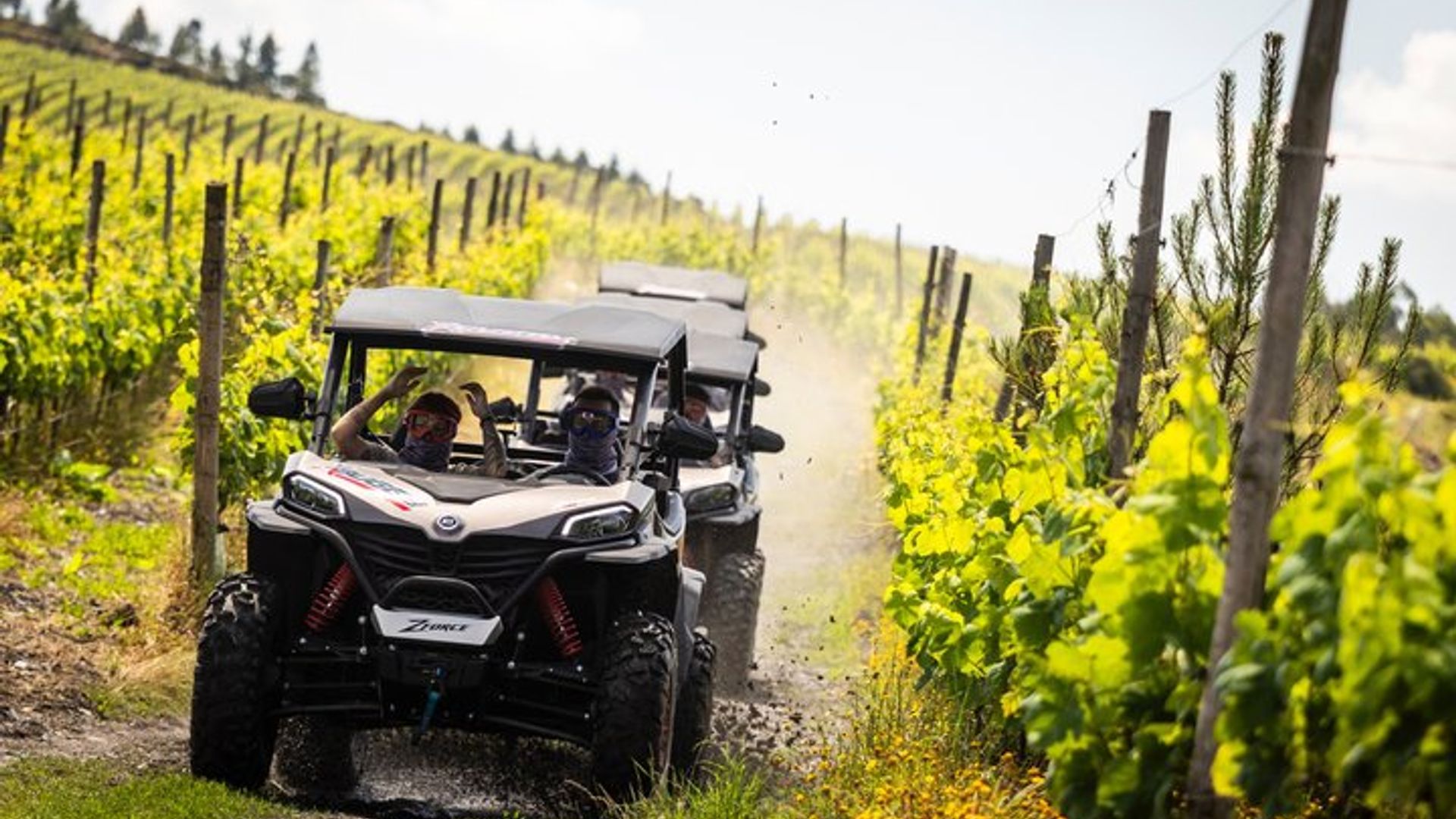 Excursión en buggy de 150 minutos en Oporto