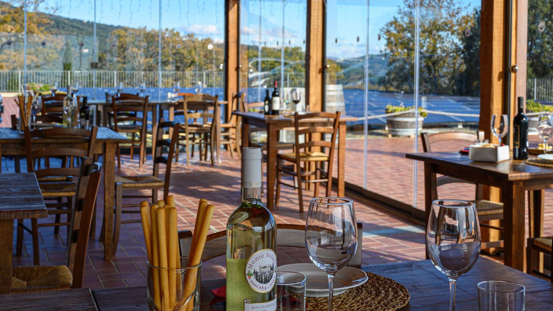 Wine Tasting with Local Food Pairing near Livorno