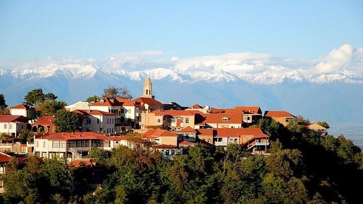 Kakheti Group Wine Tour With Guide