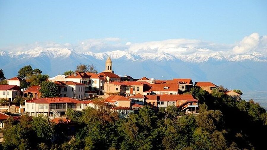 Kakheti Group Wine Tour With Guide