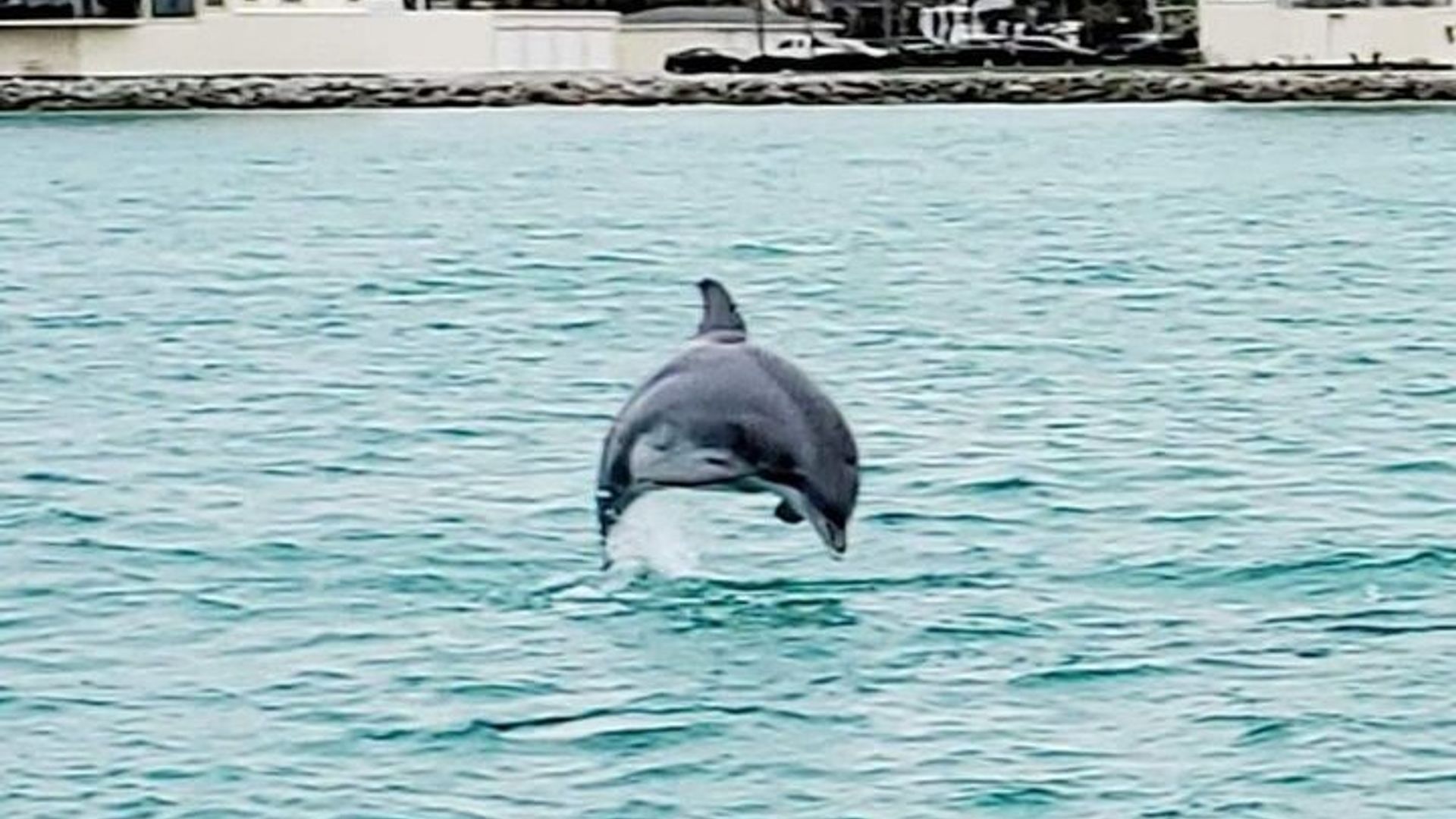 Croisière touristique automne/hiver à Destin Harbor