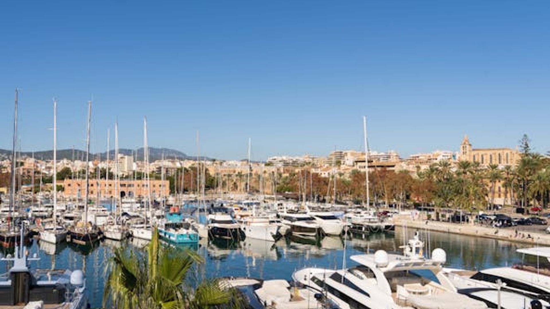 Audio-guided boat tour of Palma's iconic sights