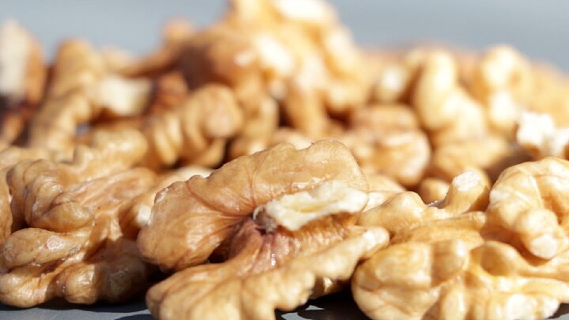 Private immersion visit to the Walnut grove with tasting