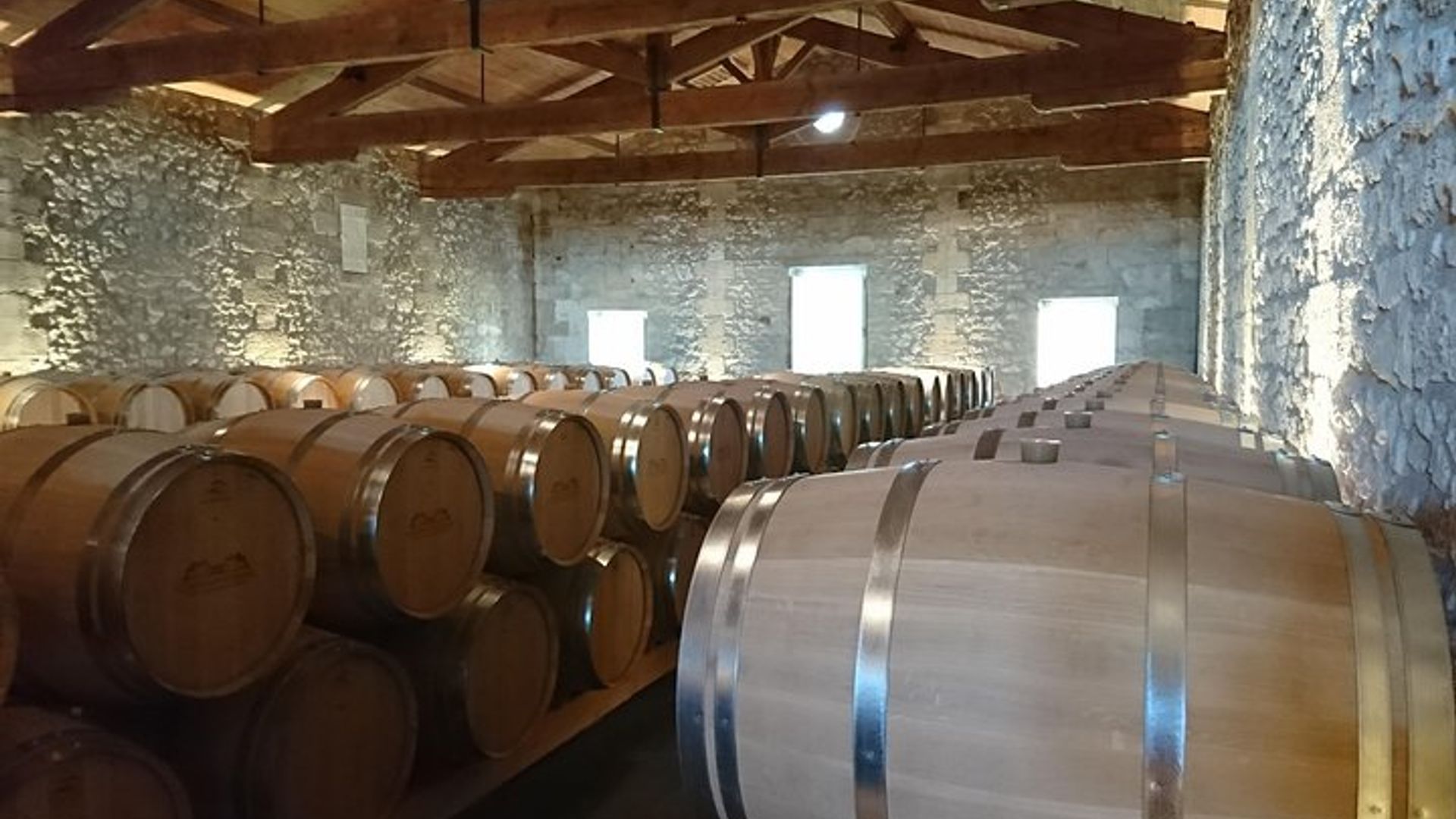 Private tour and visits on the Medoc Castle Route (Luxury Minivan)