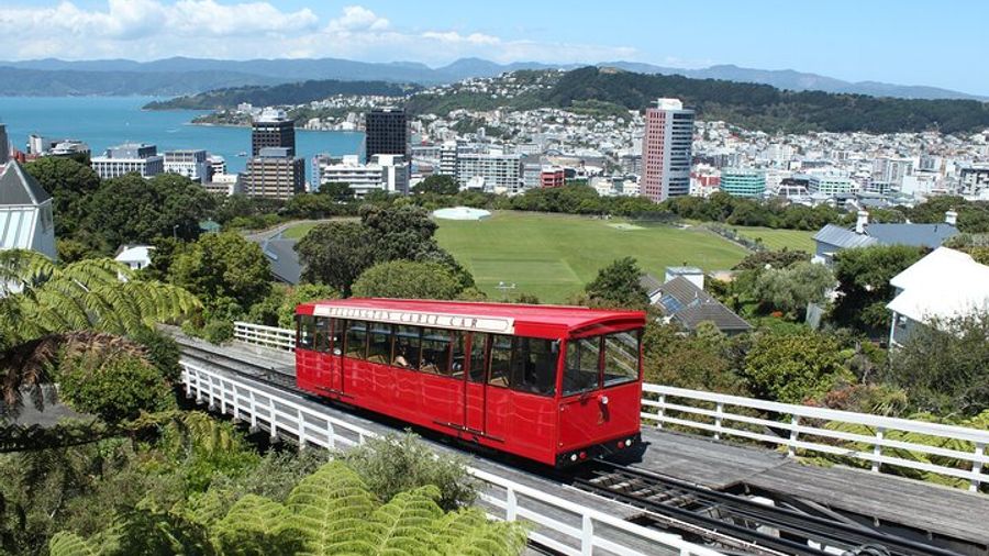 Full-day Scenic Tour of Wellington.