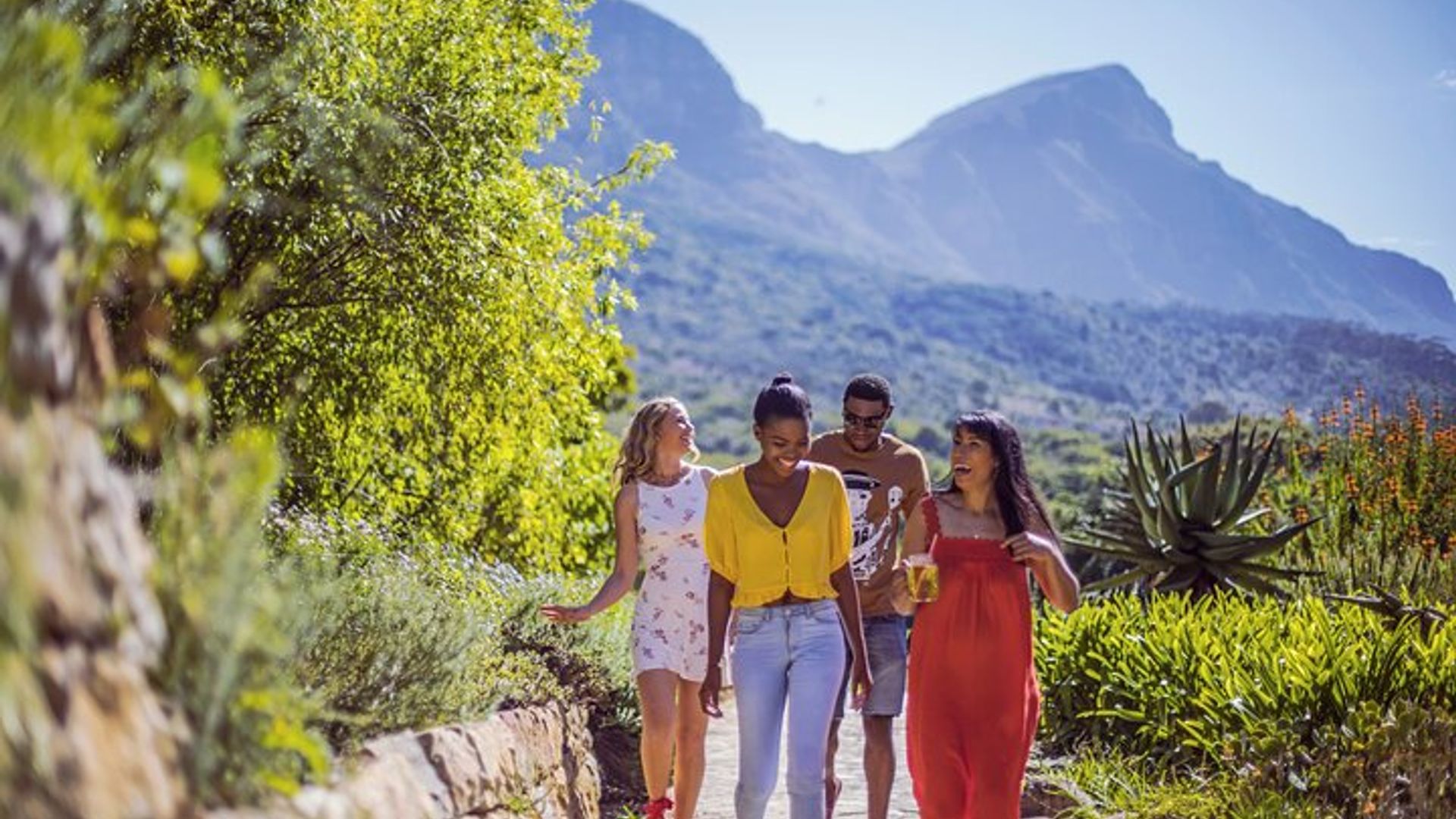 Tafelberg, Kirstenbosch und Constantia Private Tour