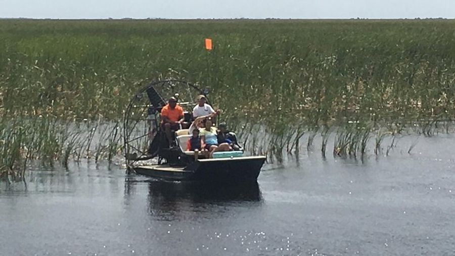 Miami Everglades Private Airboat Tour With Many Departures