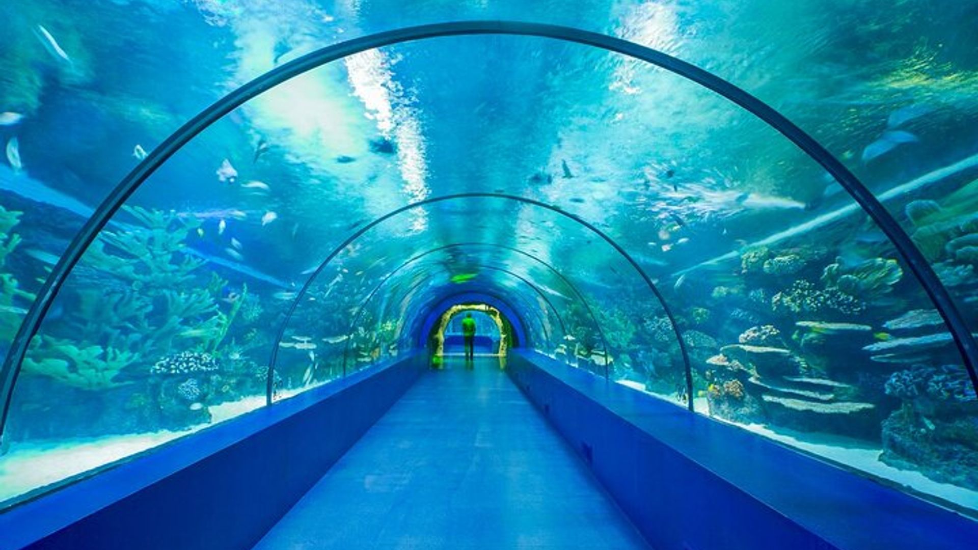 Antalya Aquarium with Entrance and Roundtrip Transfer from Alanya
