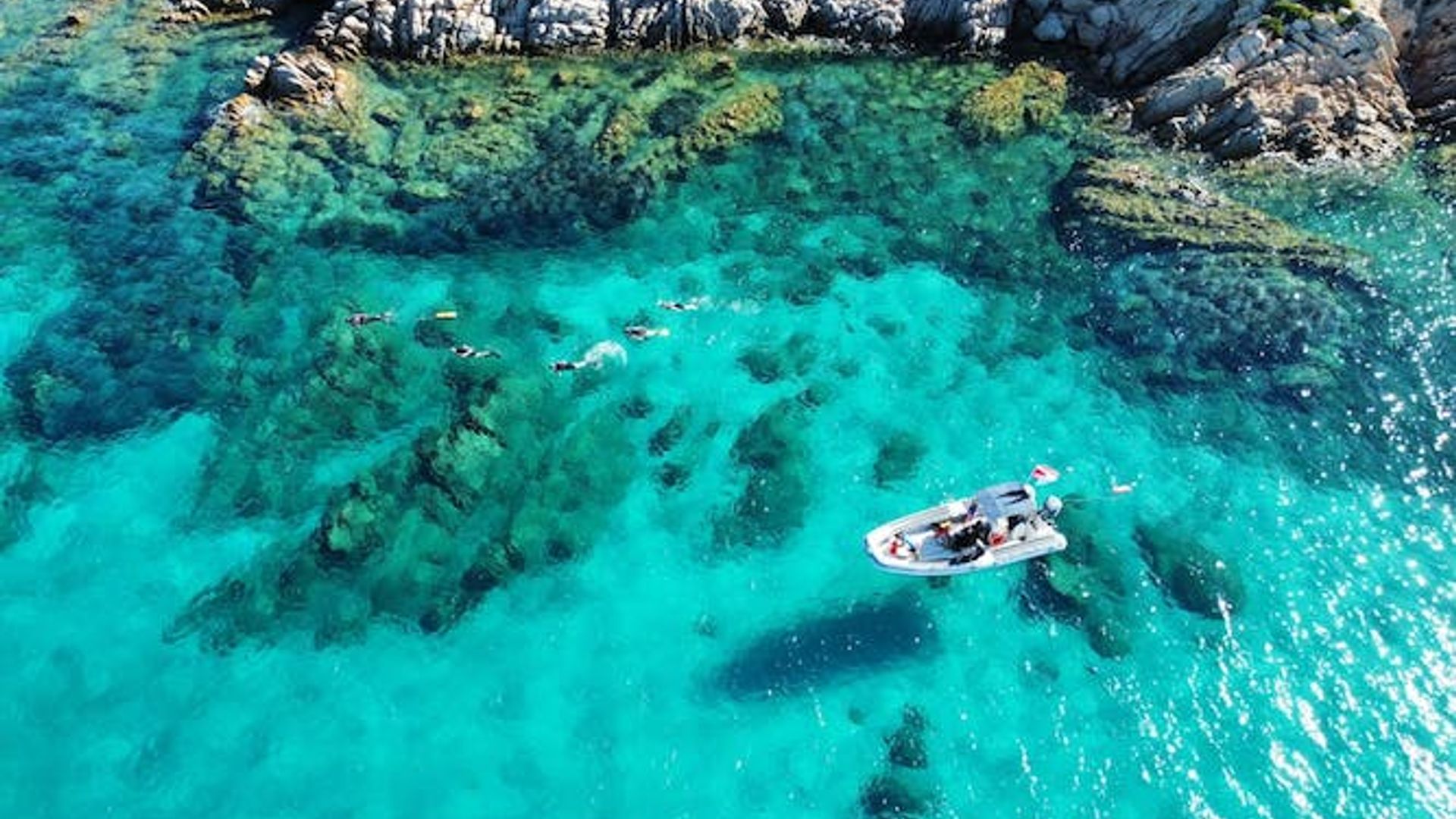 Esperienza di snorkeling nell'area protetta di Tavolara da San Teodoro