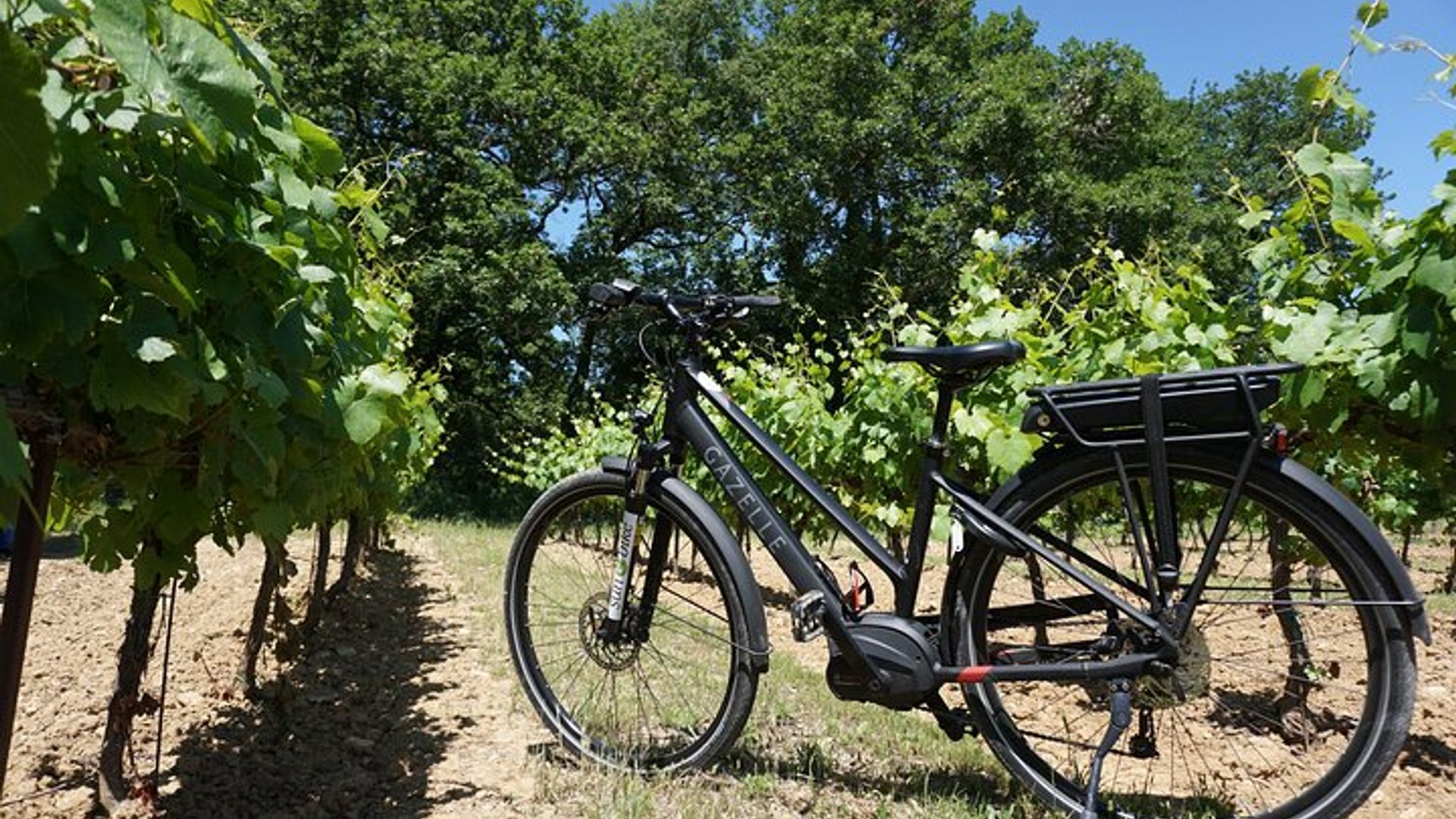 Paseo en bicicleta eléctrica por Provenza y degustación de vinos