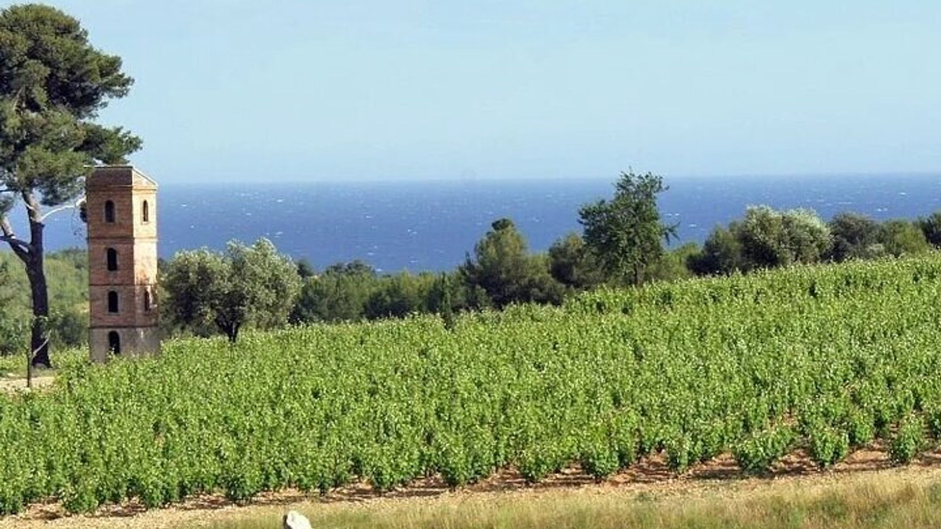 2 Meilleurs Villages de la Région du Var et Dégustation de vin du port de Sanary