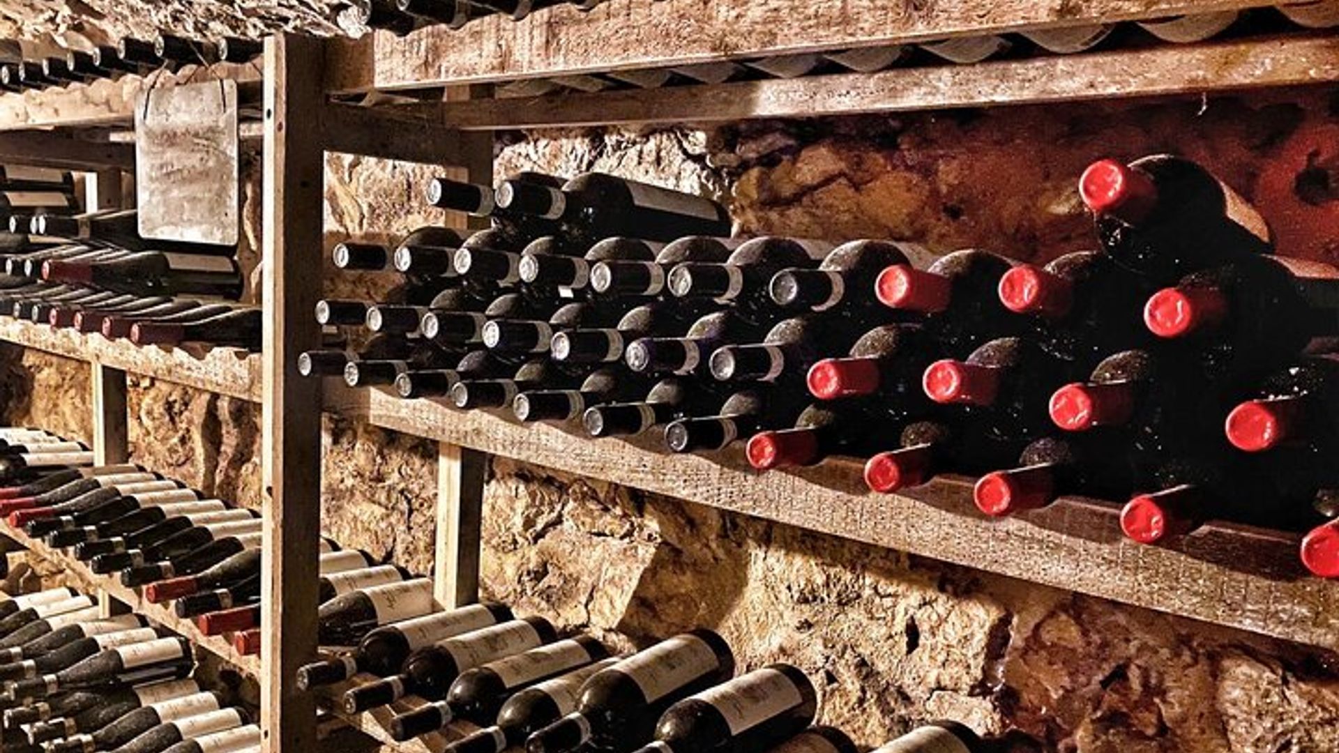 Luxury Champagne Tasting in a Boutique Winery