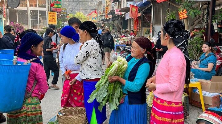 4D3N Ha Giang Loop with Yolo Ha Giang Adventures