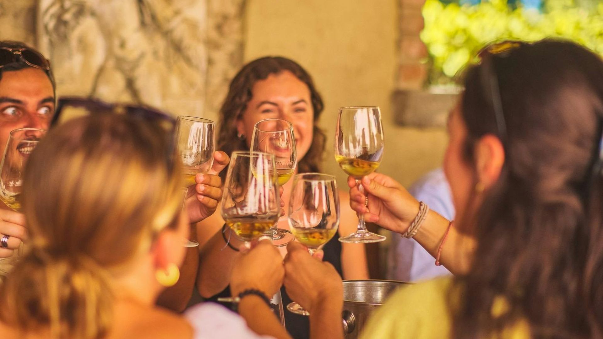 Guided wine tasting tour in Florence with a professional connoisseur