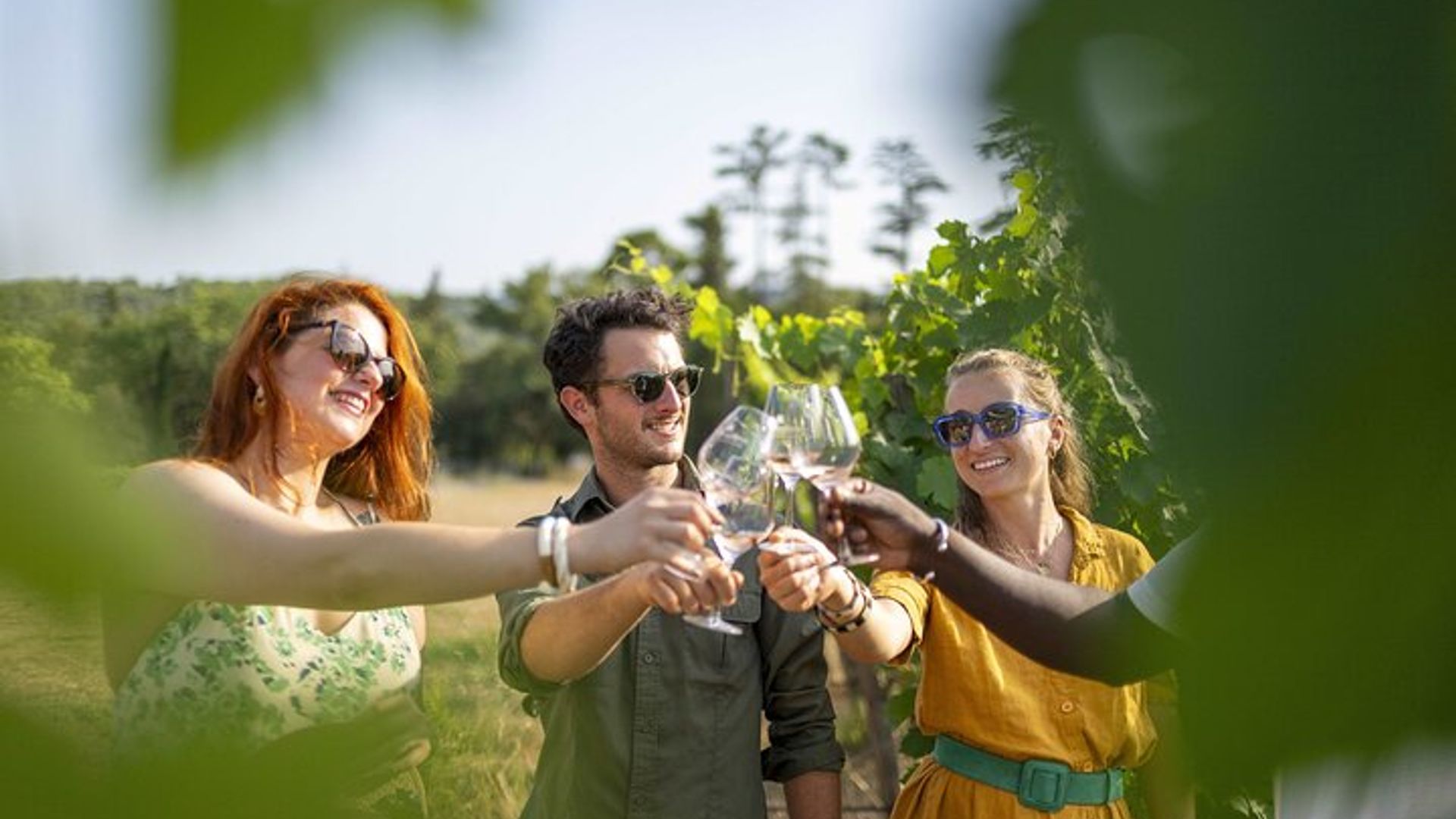 Provence Full-Day Small-Group Wine Tasting Vineyard Tour