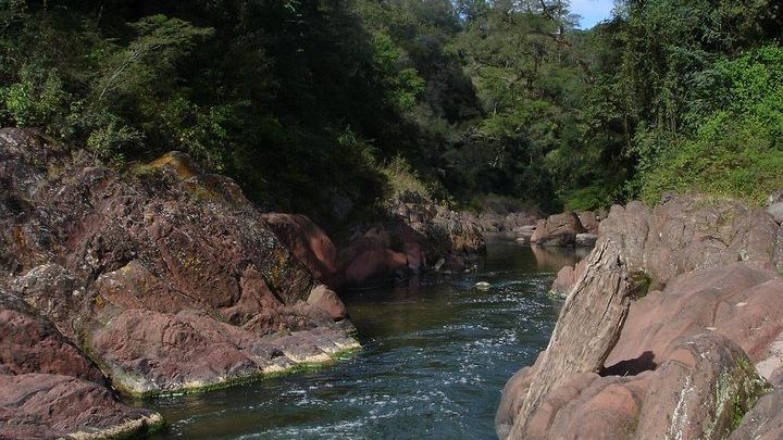 Yungas and El Rey National Park 4x4 Full Day Tour from Salta
