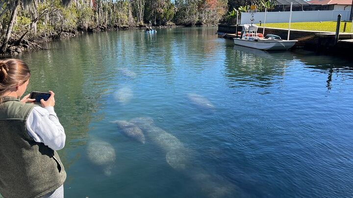 Kings Bay Eco Tours