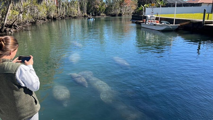 Kings Bay Eco Tours