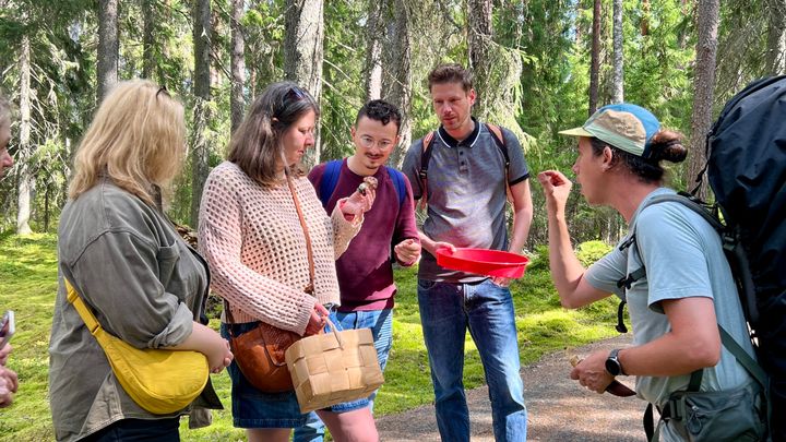 Magical Taiga Forest Hike