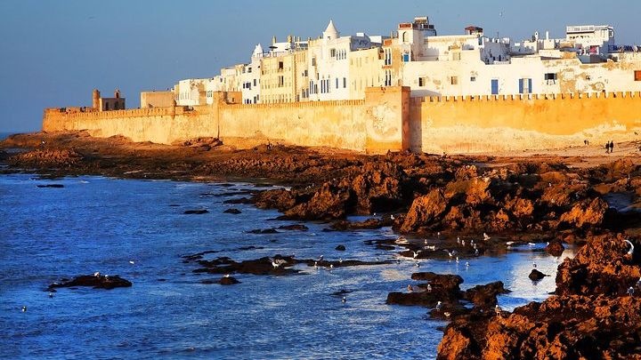 Essaouira Full-Day from Marrakech with Walking Tour, Argan Oil