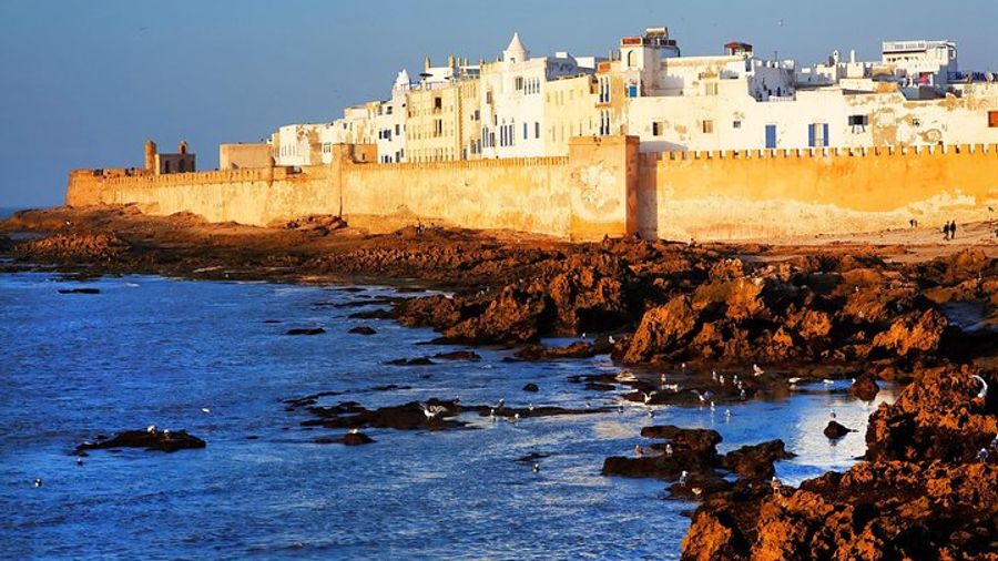 Essaouira Full-Day from Marrakech with Walking Tour, Argan Oil