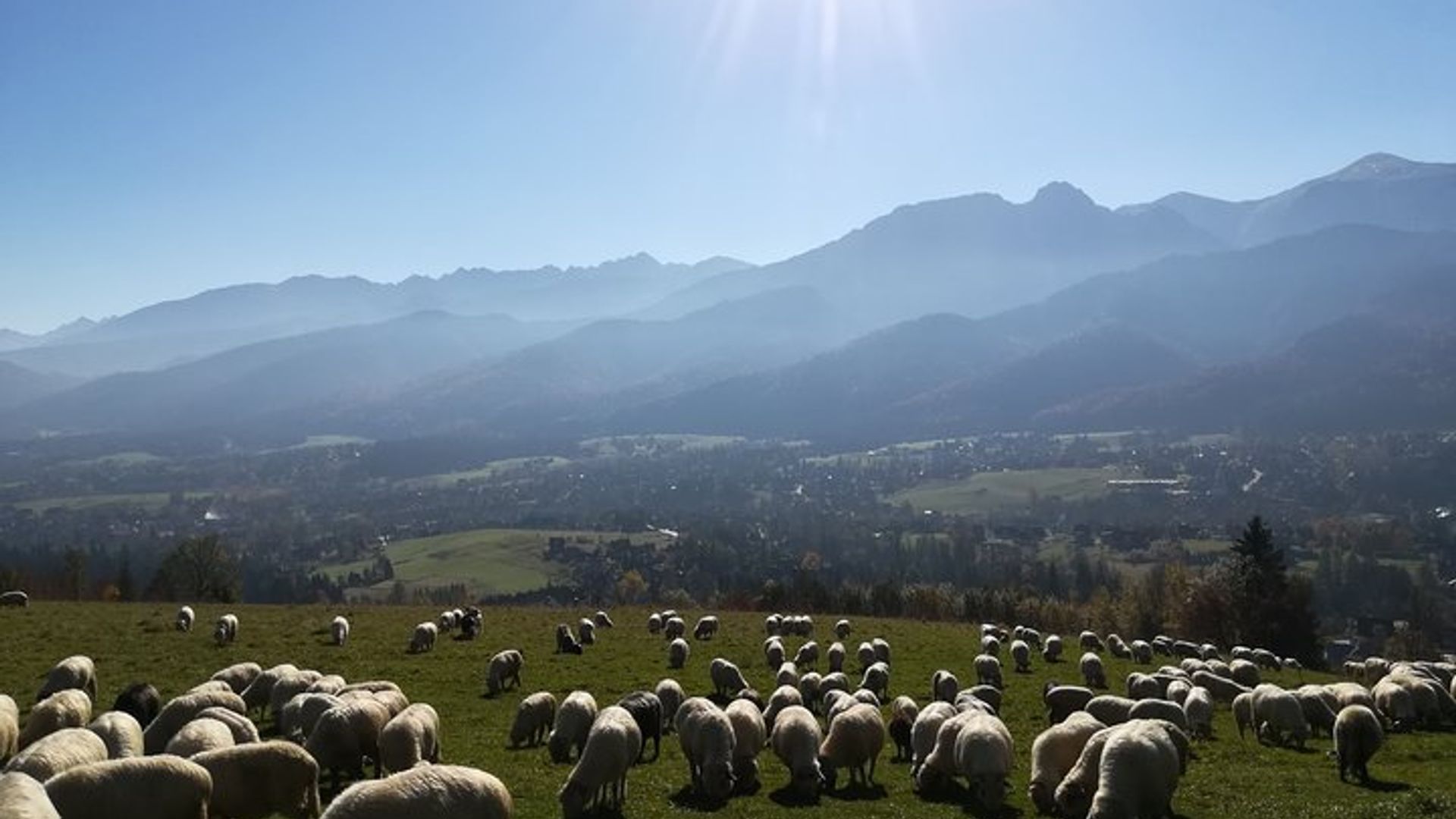Dunajec River Rafting und Zakopane Private Tour von Krakau