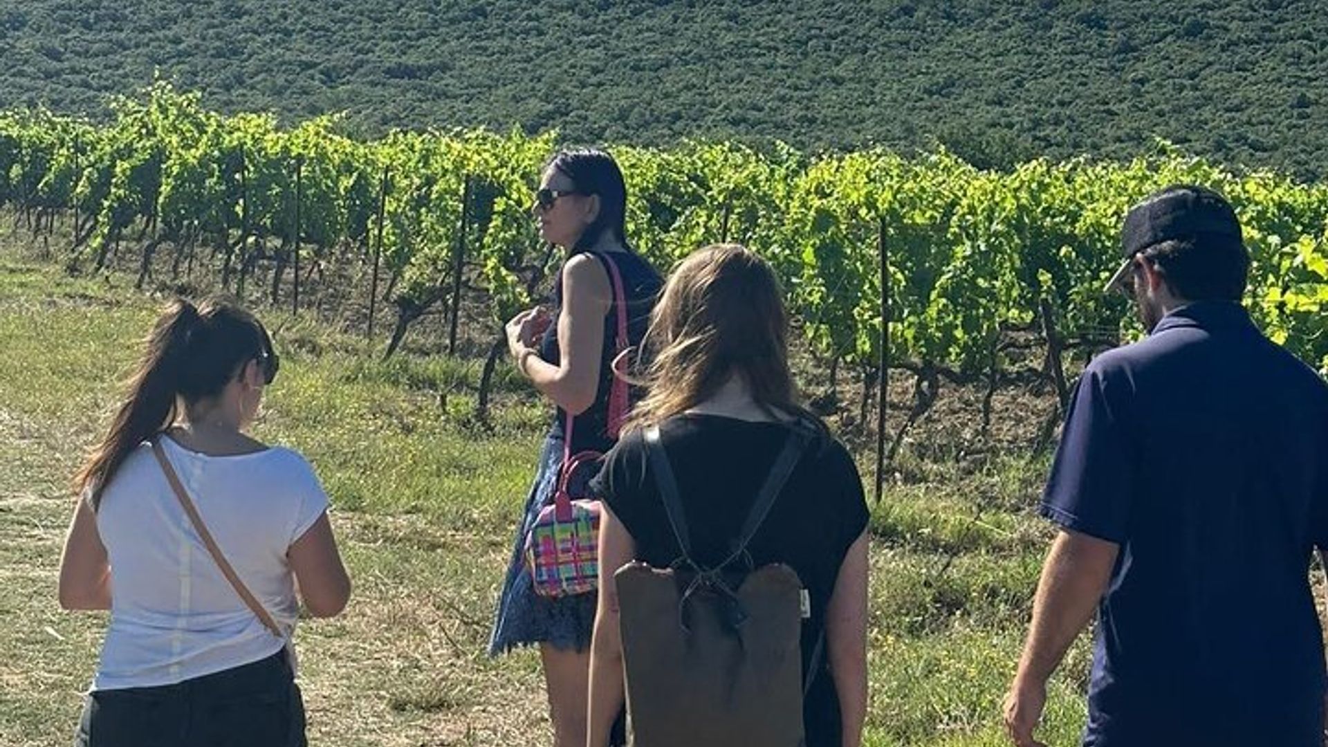 Excursión de un día a Sète: Visita a Sète, ostras y vino