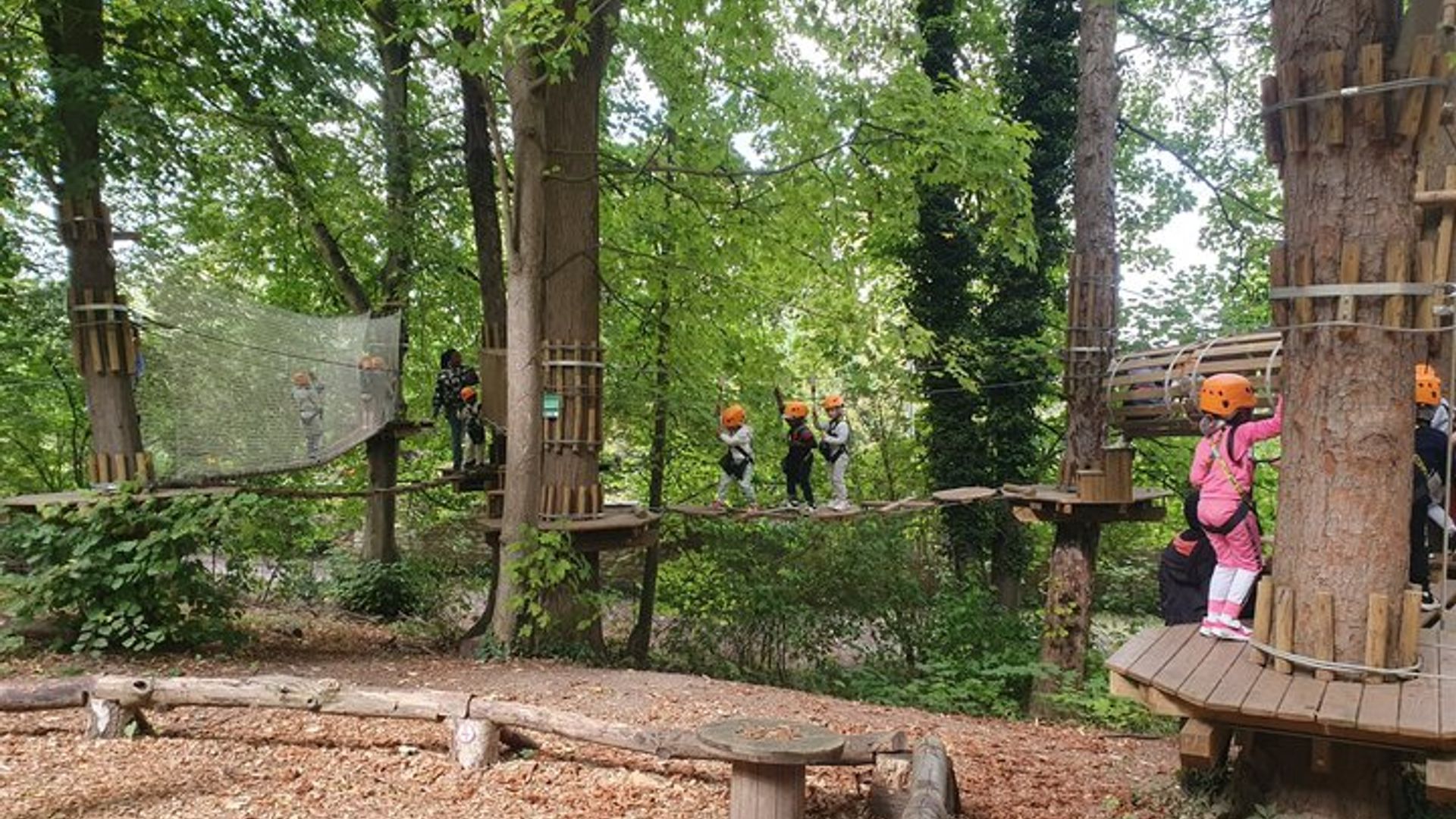 AccroCamp Poissy - Curso de aventura en las copas de los árboles