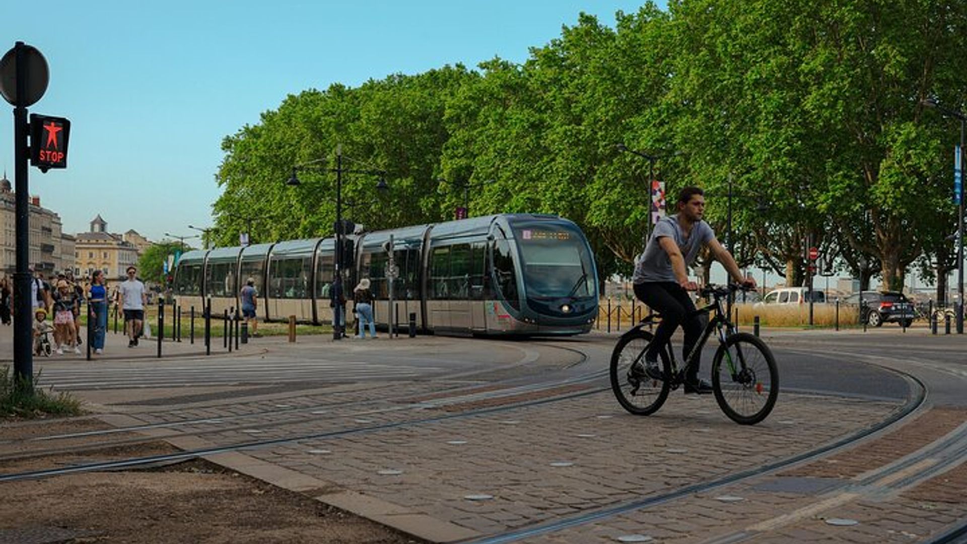 Discover Bordeaux Your Way A Relaxed Day Trip from Le Verdon