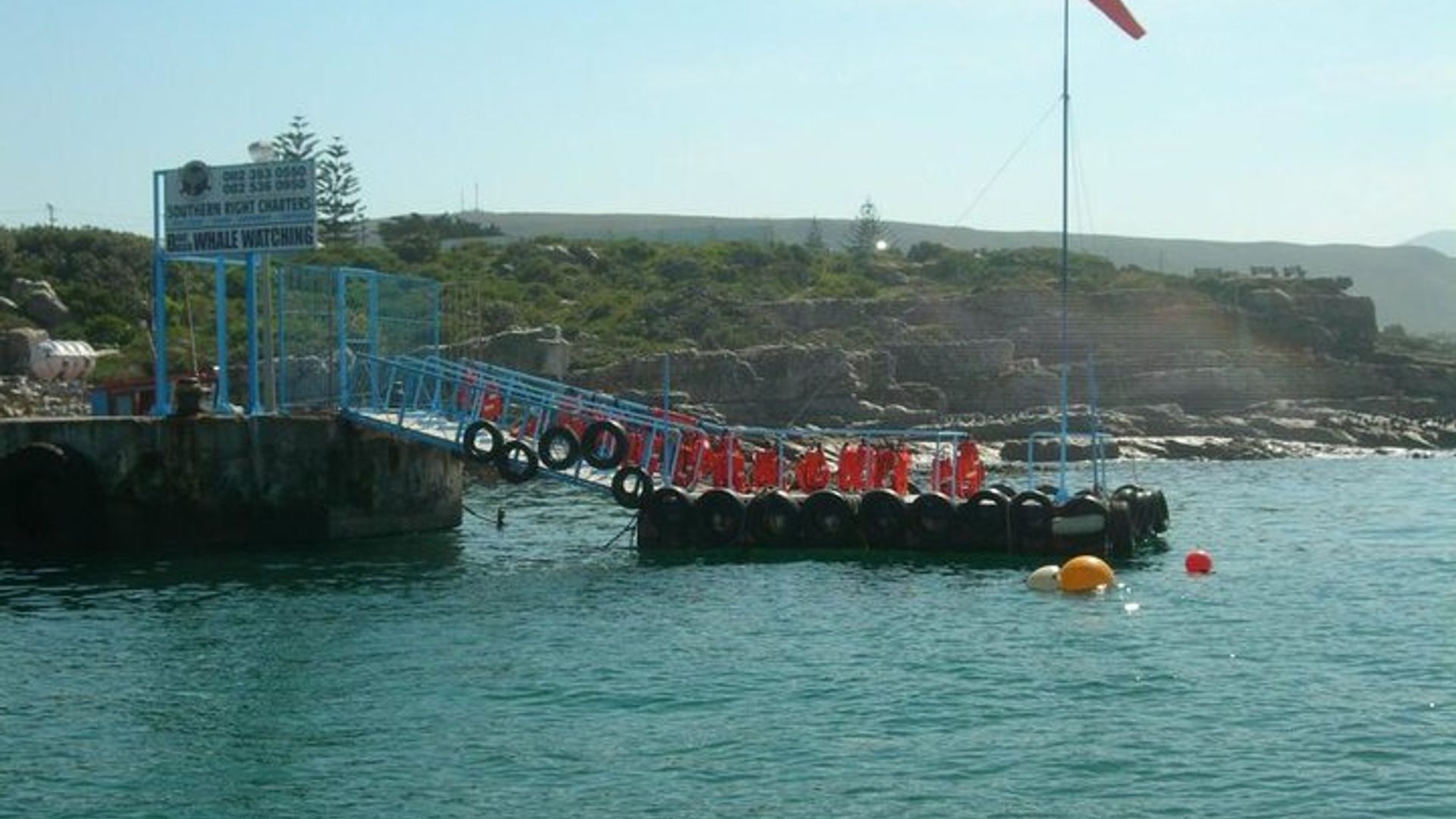 Cape Town to Hermanus Whale Watching Boat Trip with Transfers