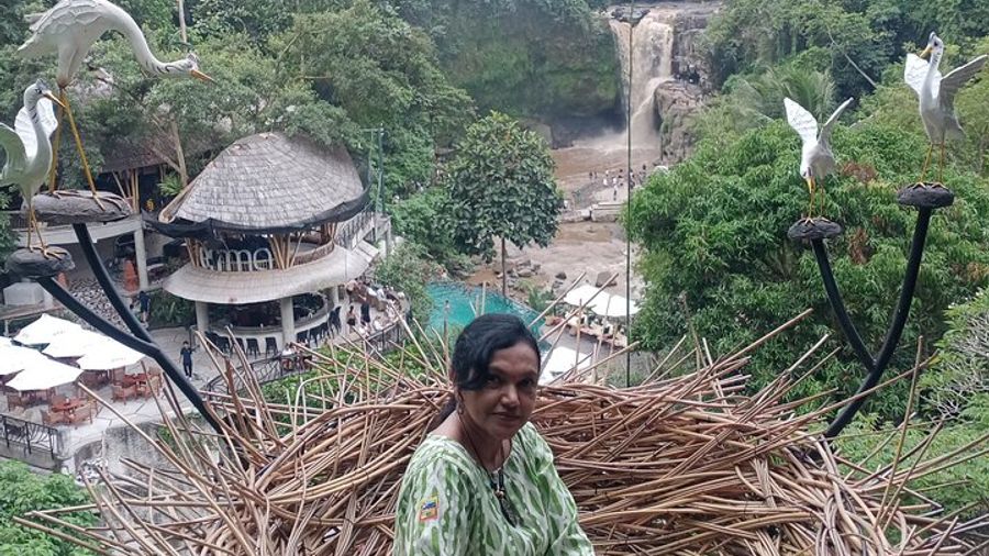 Bali Ubud Driver
