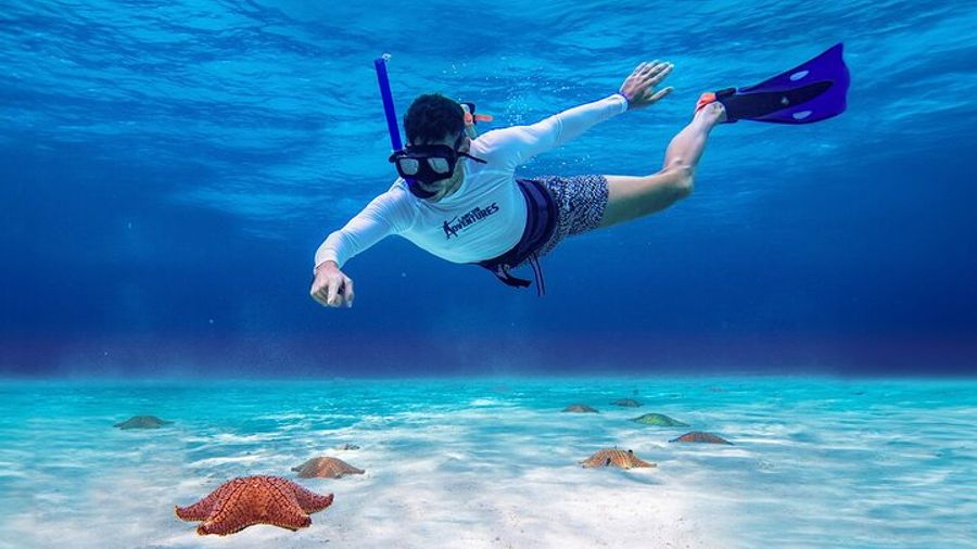 Cancun Cozumel Reef Snorkeling by Powerboat